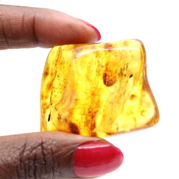 Resina fossile di ambra baltica – Ciottolo per appassionati