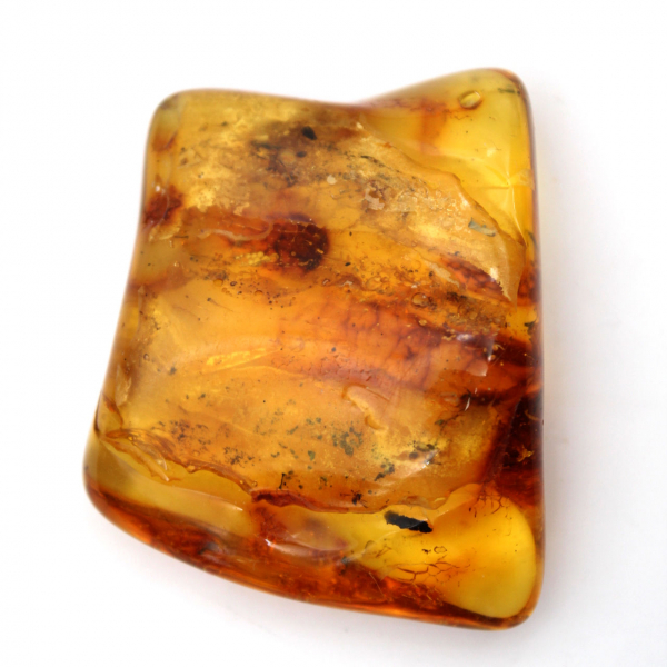 Resina fossile di ambra baltica – Ciottolo per appassionati