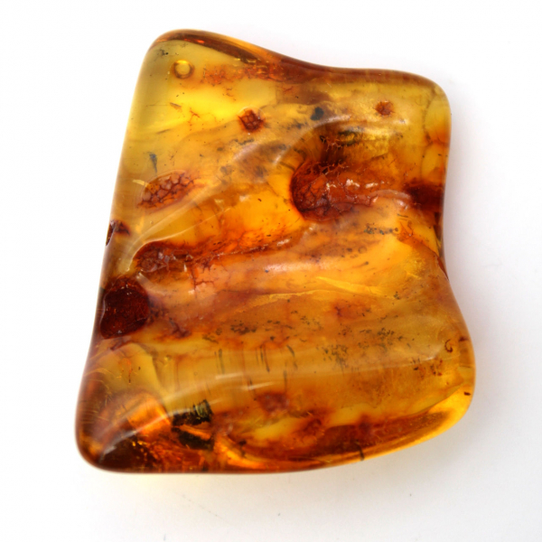 Resina fossile di ambra baltica – Ciottolo per appassionati