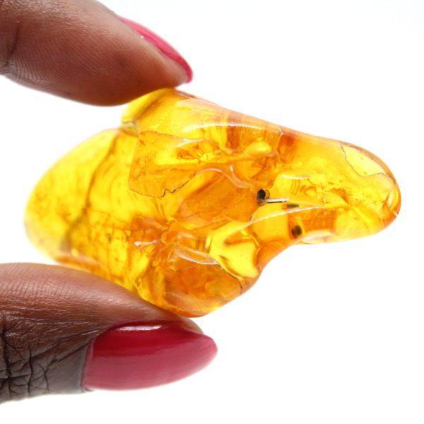 Ciottolo giallo ambrato, pietra naturale dalla Lituania