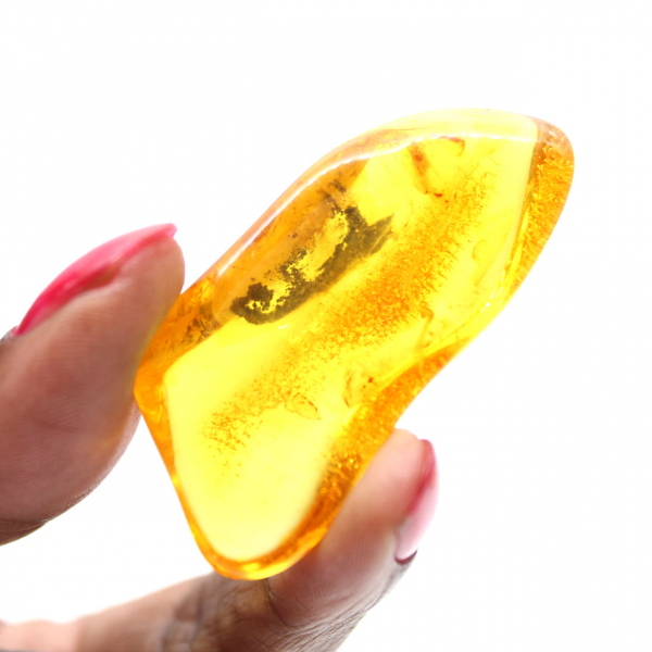 Ambra gialla fossile del Baltico – Ciottolo autentico