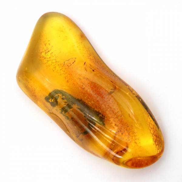 Ambra gialla fossile del Baltico – Ciottolo autentico