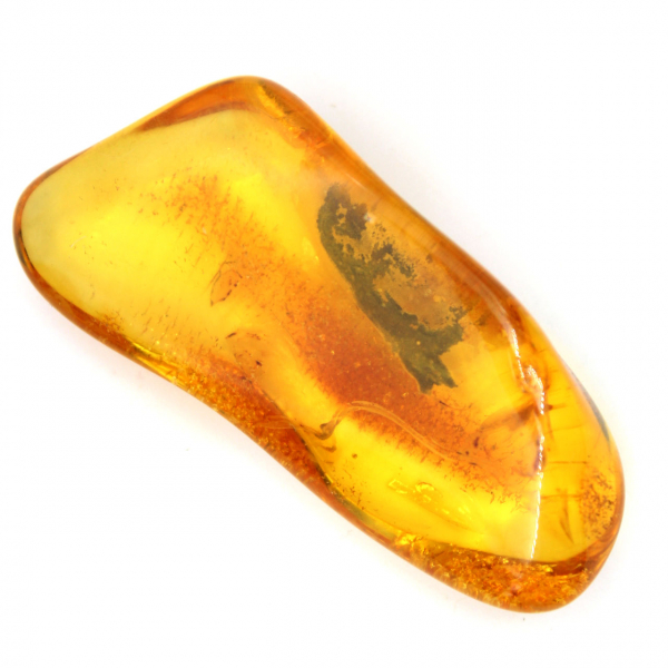 Ambra gialla fossile del Baltico – Ciottolo autentico