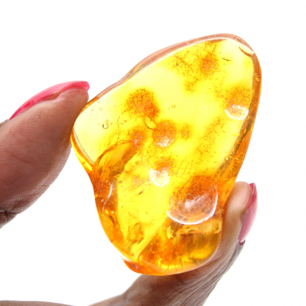 Ciottolo di ambra gialla, oggetto minerale Lituania – esemplare decorativo