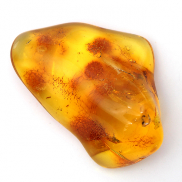 Ciottolo di ambra gialla, oggetto minerale Lituania – esemplare decorativo