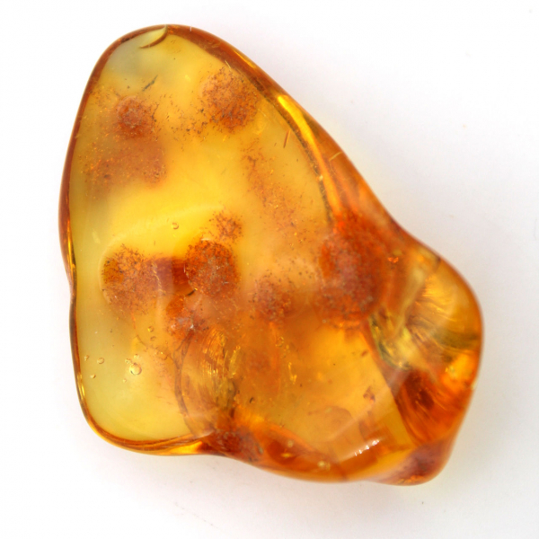Ciottolo di ambra gialla, oggetto minerale Lituania – esemplare decorativo