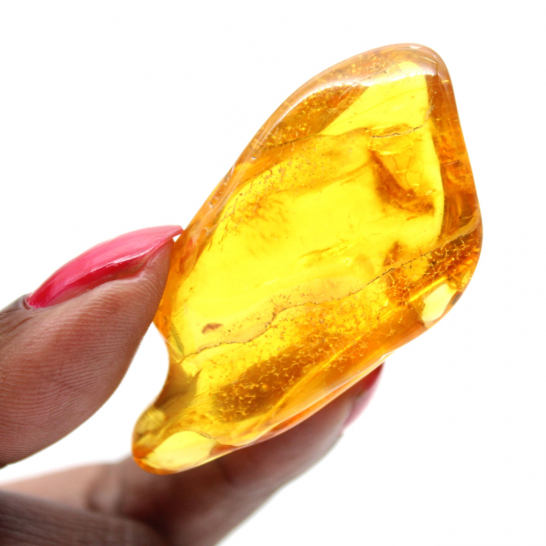 Ciottolo di ambra gialla dalla Lituania per la collezione di fossili