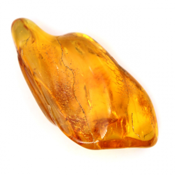 Ciottolo di ambra gialla dalla Lituania per la collezione di fossili