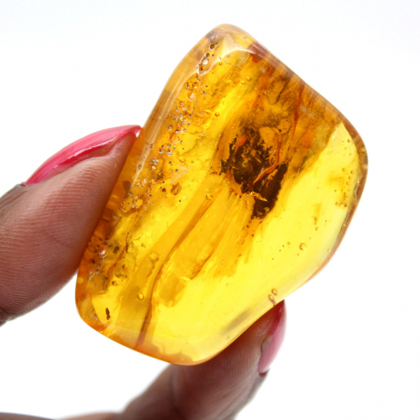 Ambra baltica – Oggetto di mineralogia