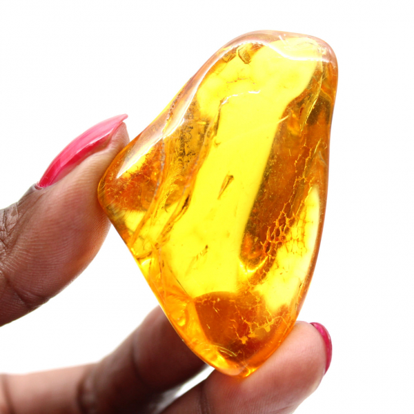 Ambra baltica gialla – Ciottolo lucidato, oggetto decorativo