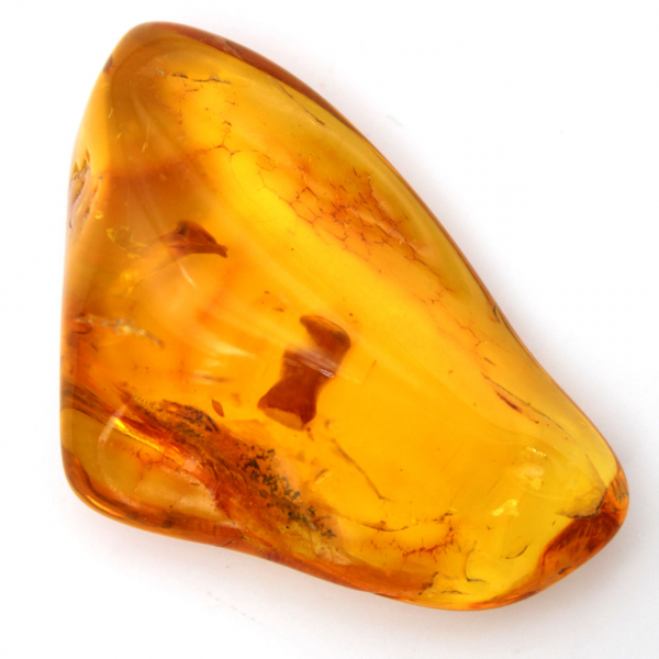 Ambra baltica gialla – Ciottolo lucidato, oggetto decorativo