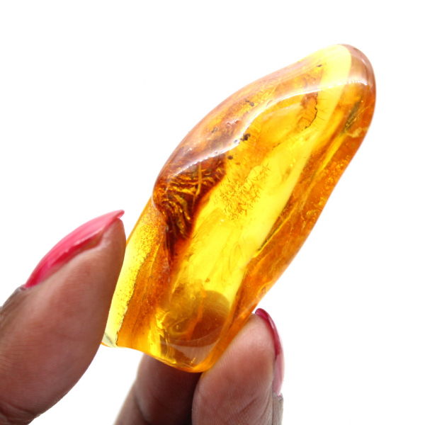 Ciottolo di ambra gialla lucidato – Esemplare da collezione Lituania