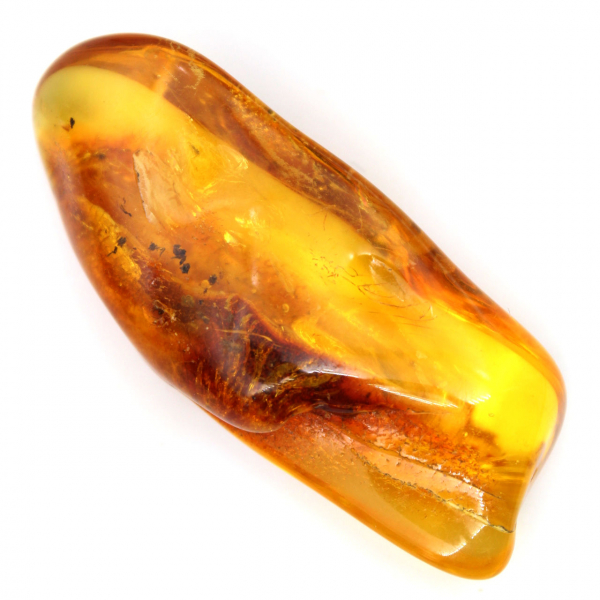 Ciottolo di ambra gialla lucidato – Esemplare da collezione Lituania