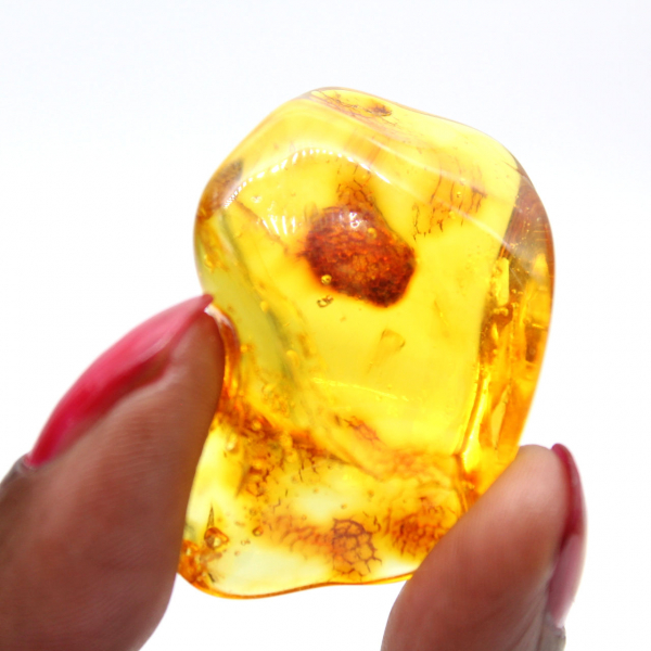 Piccolo ciottolo di ambra gialla - Fossile da collezione
