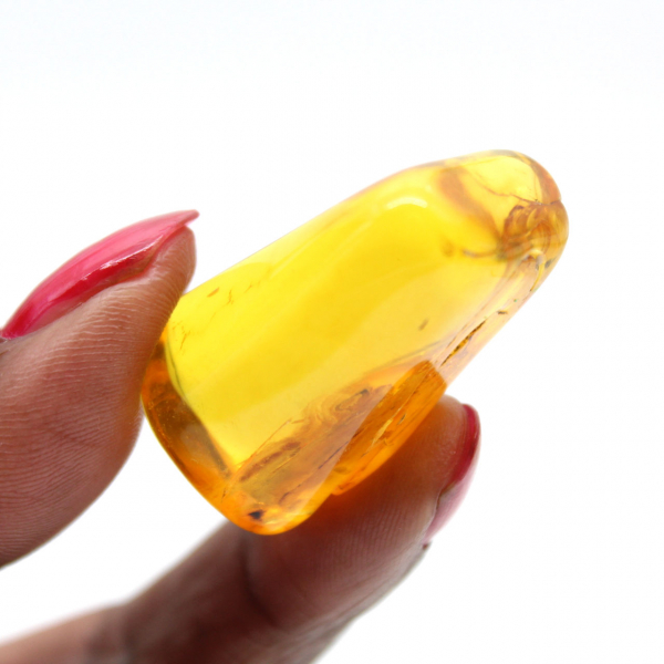 Mini ciottolo di ambra gialla baltica – Fossile per decorazione