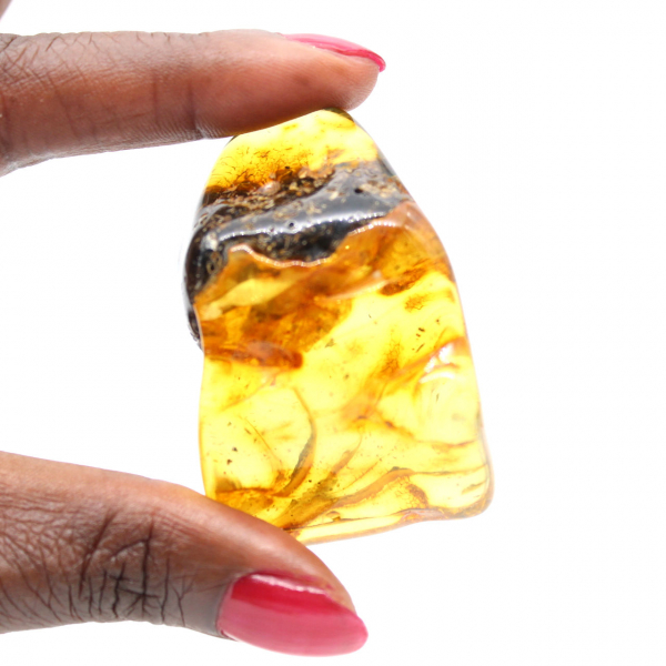 Autentico ciottolo di ambra lucidato dalla Lituania - Esemplare di mineralogia