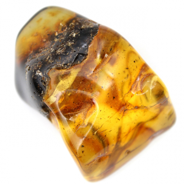 Autentico ciottolo di ambra lucidato dalla Lituania - Esemplare di mineralogia