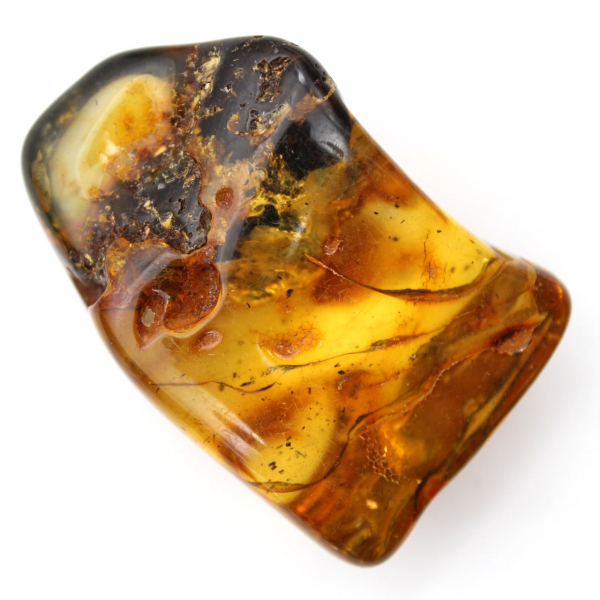 Autentico ciottolo di ambra lucidato dalla Lituania - Esemplare di mineralogia