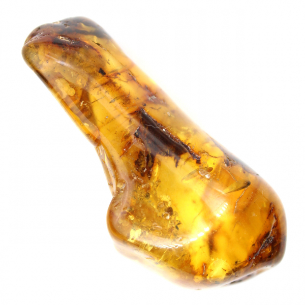 Esemplare di ciottolo d'ambra lucidato - Decorazione e scienza geologica