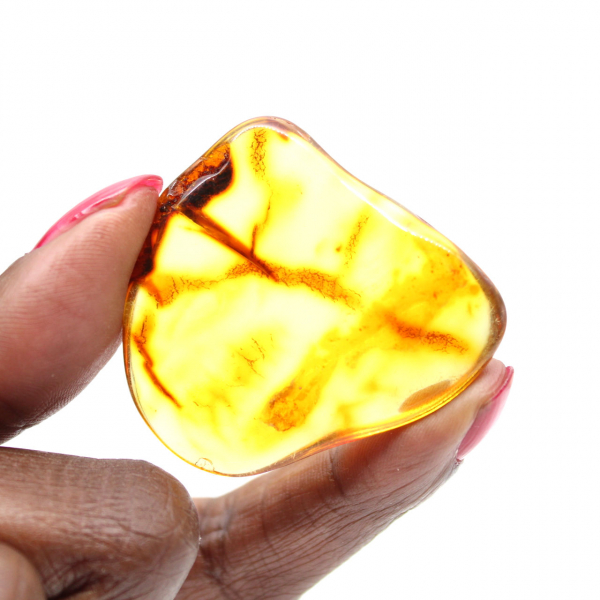 Piccolo ciottolo di ambra lituana lucidata - Autenticità e scienza
