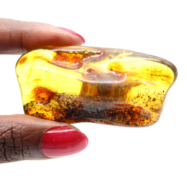 Piccolo ciottolo d'ambra lucidato dalla Lituania - Collezione mineralogica