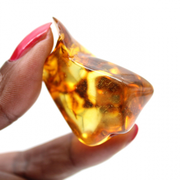 Ciottolo d'ambra lituana lucidata - Bellezza naturale e collezione