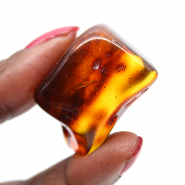 Esemplare di ciottolo d'ambra lucidato - Decorazione d'interni