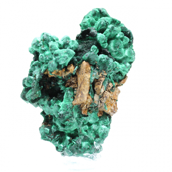 Pezzo grezzo di malachite fibrosa Pezzo grezzo di malachite fibrosa