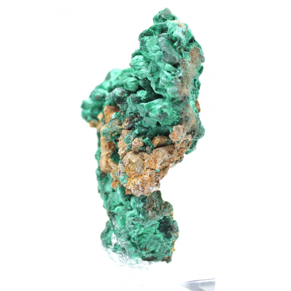Pezzo grezzo di malachite fibrosa Pezzo grezzo di malachite fibrosa