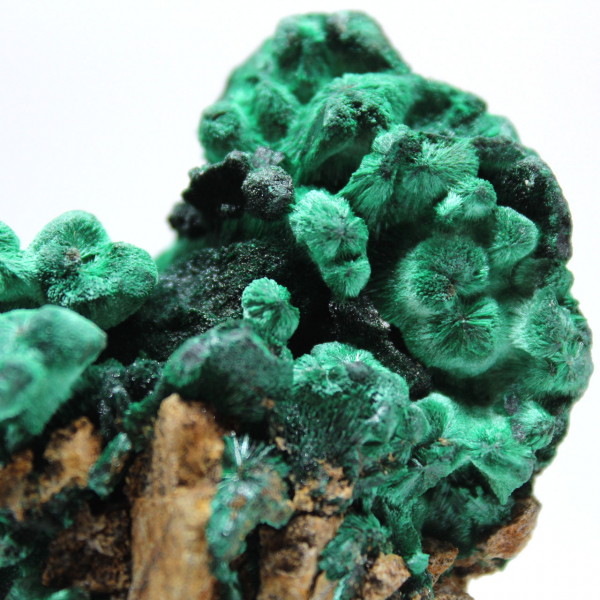 Pezzo grezzo di malachite fibrosa Pezzo grezzo di malachite fibrosa