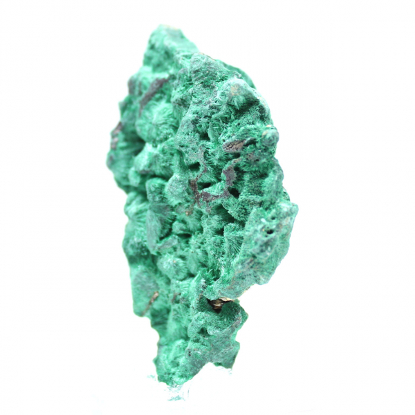 Campione grezzo di malachite fibrosa Campione grezzo di malachite fibrosa