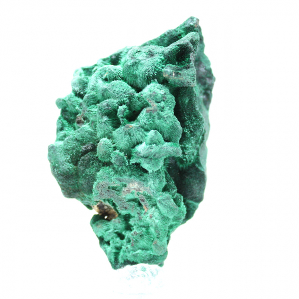 Campione grezzo di malachite fibrosa Campione grezzo di malachite fibrosa