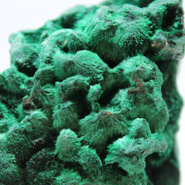 Campione grezzo di malachite fibrosa Campione grezzo di malachite fibrosa