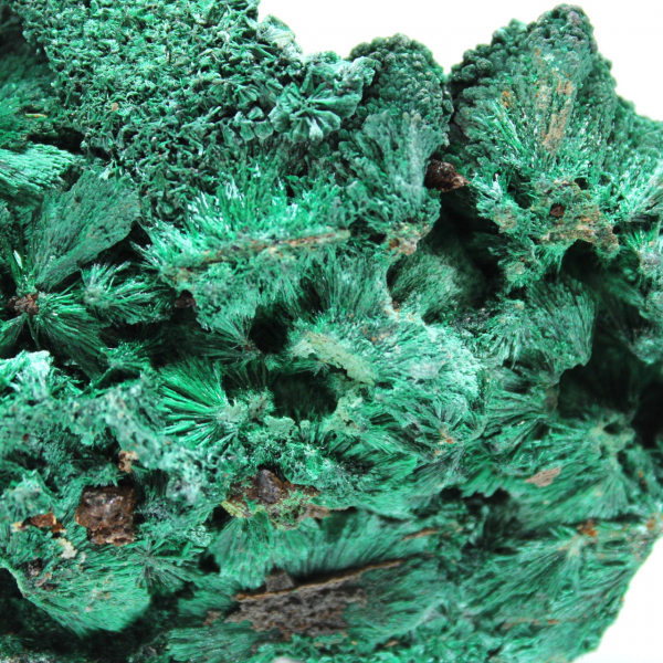 Malachite fibrosa grezza Malachite fibrosa grezza