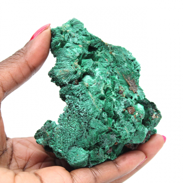 Malachite fibrosa grezza Malachite fibrosa grezza