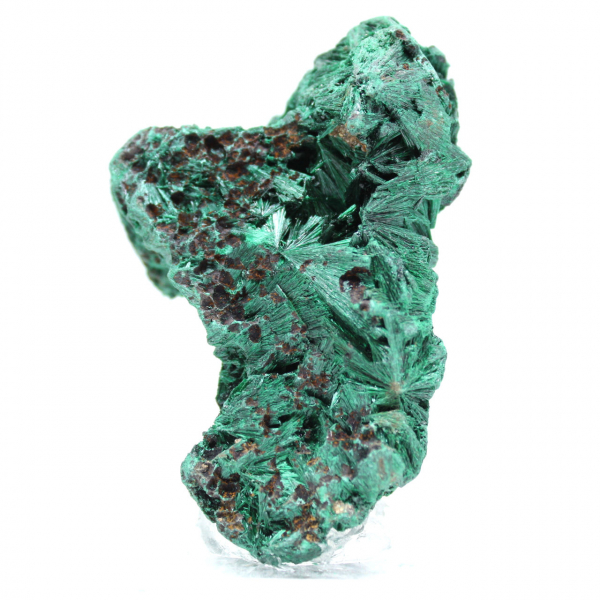 Pietra grezza di malachite fibrosa Pietra grezza di malachite fibrosa