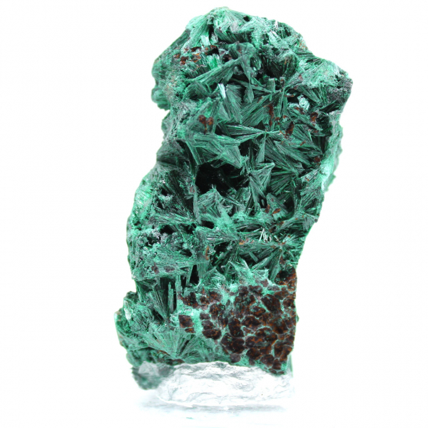 Pietra grezza di malachite fibrosa Pietra grezza di malachite fibrosa