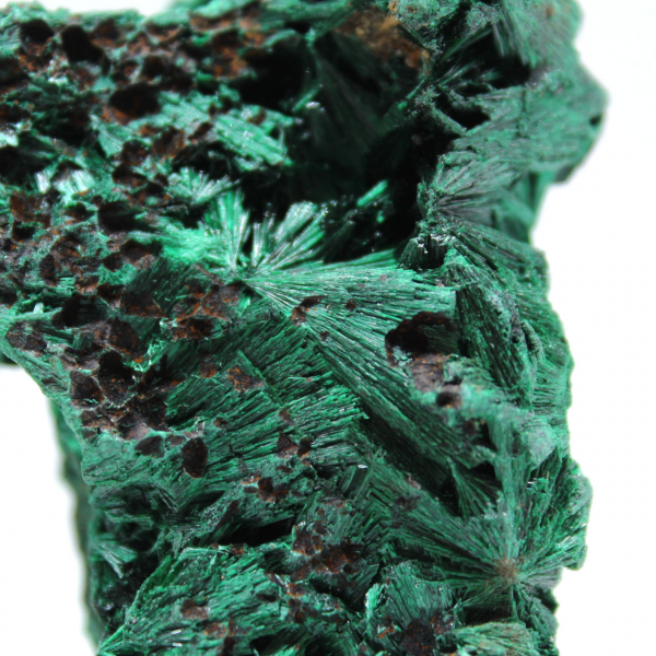 Pietra grezza di malachite fibrosa Pietra grezza di malachite fibrosa