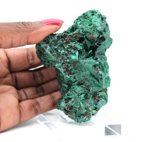 Pietra grezza di malachite fibrosa Pietra grezza di malachite fibrosa