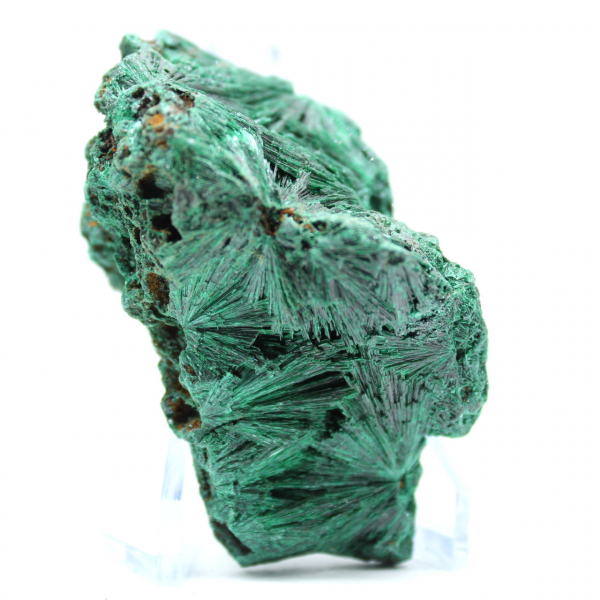 Pezzo di malachite fibrosa grezza Pezzo di malachite fibrosa grezza