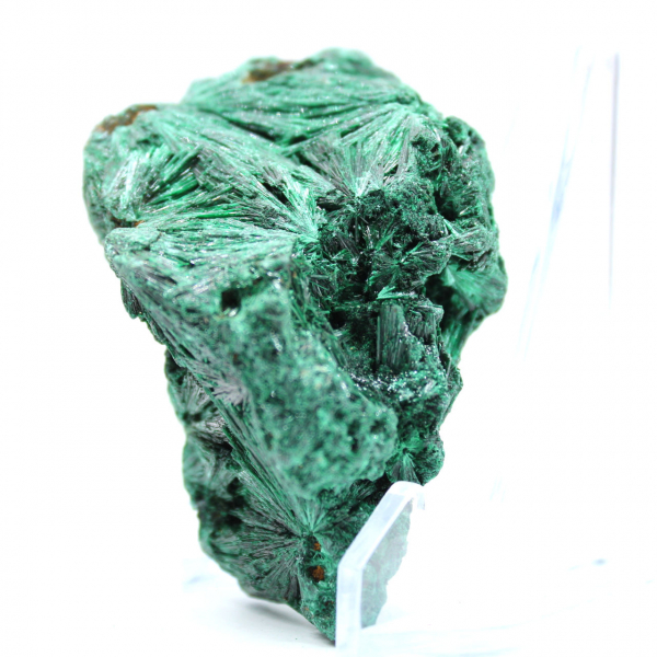 Pezzo di malachite fibrosa grezza Pezzo di malachite fibrosa grezza