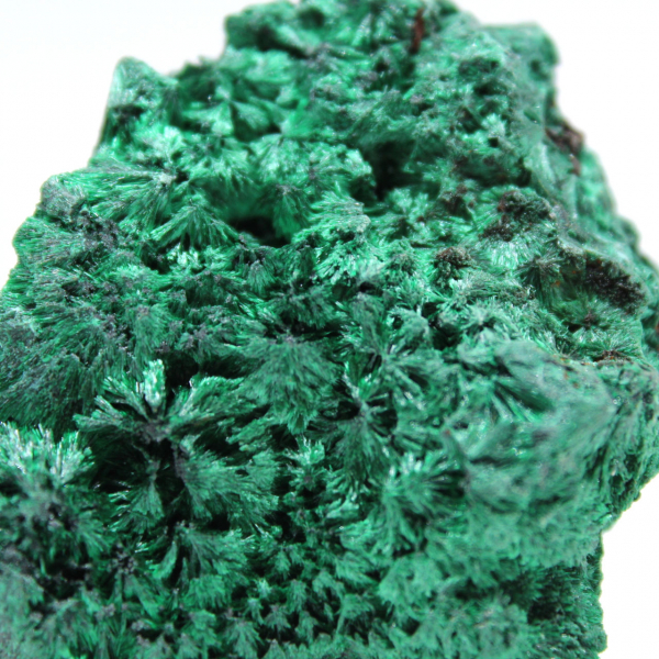 Pietra grezza di malachite fibrosa Pietra grezza di malachite fibrosa