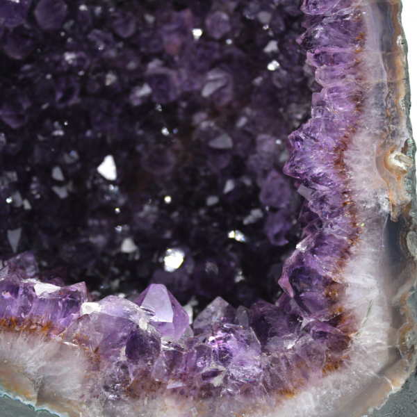 Grande geode di ametista brasiliana per decorazione d'interni e collezione