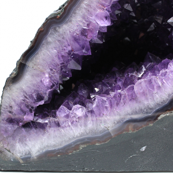  Geode di ametista brasiliana con cristalli viola per collezionisti