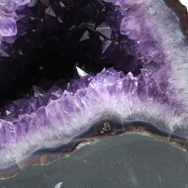  Geode di ametista brasiliana con cristalli viola per collezionisti