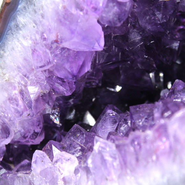  Geode di ametista brasiliana con cristalli viola per collezionisti