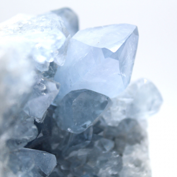 Esemplare di celestite blu con cristalli lucenti