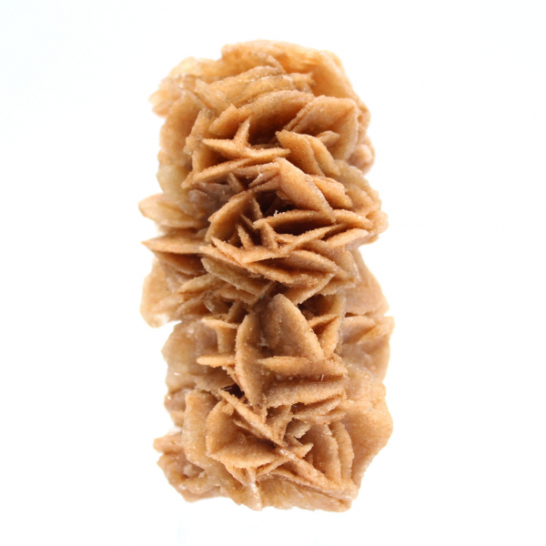 Rosa di sabbia fossile dalla Tunisia