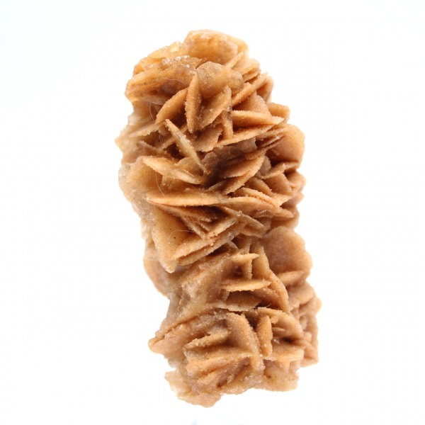 Rosa di sabbia fossile dalla Tunisia