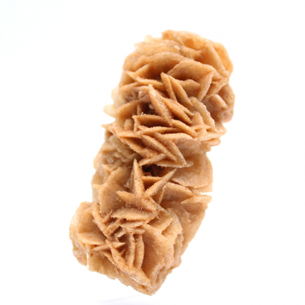 Rosa di sabbia fossile dalla Tunisia